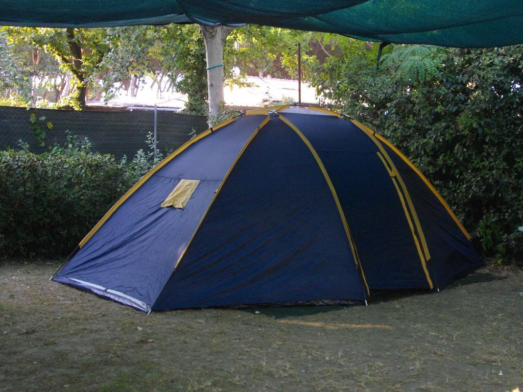 Camping Dal Pino Otel Marina di Massa Dış mekan fotoğraf